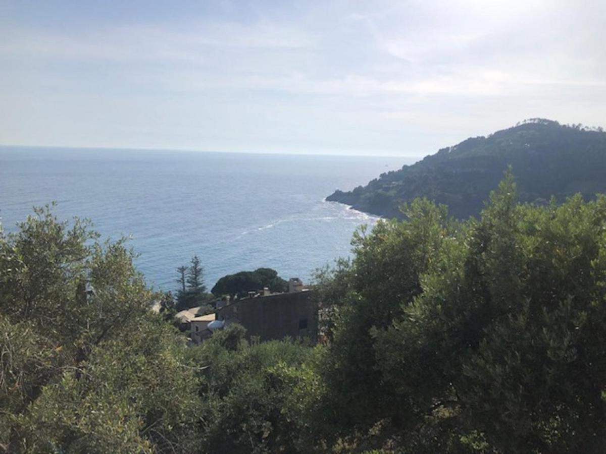 Casa Orchidea - Vista Mare meravigliosa Bonassola Esterno foto
