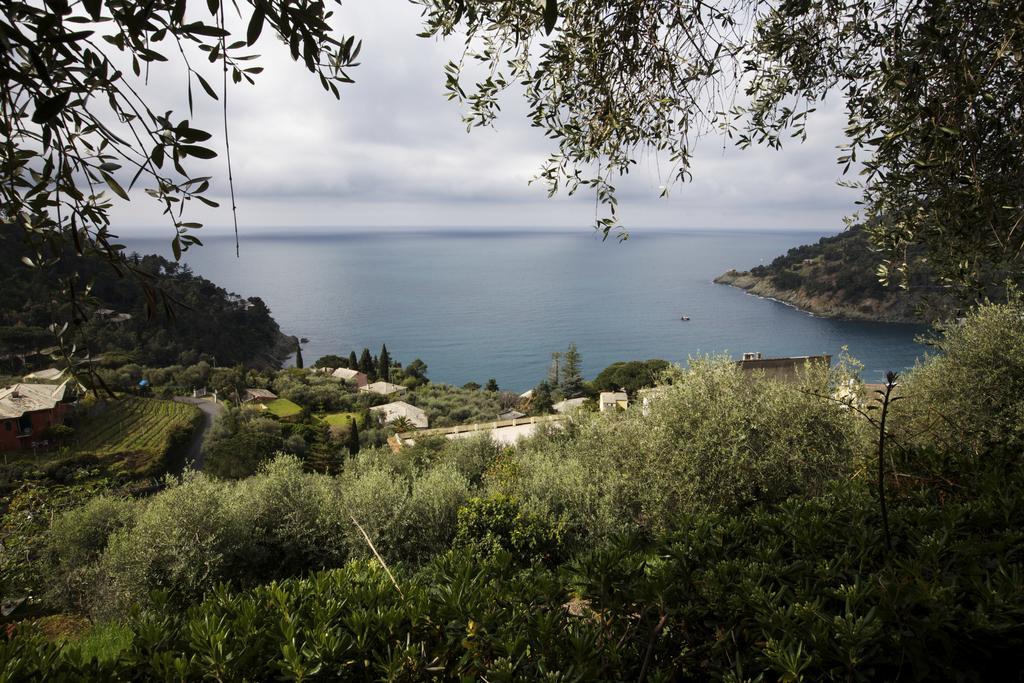 Casa Orchidea - Vista Mare meravigliosa Bonassola Camera foto